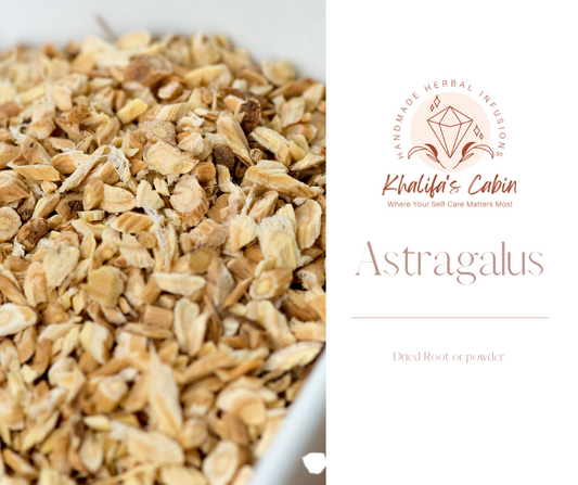 Astragalus Root (Organic) | Milkvetch