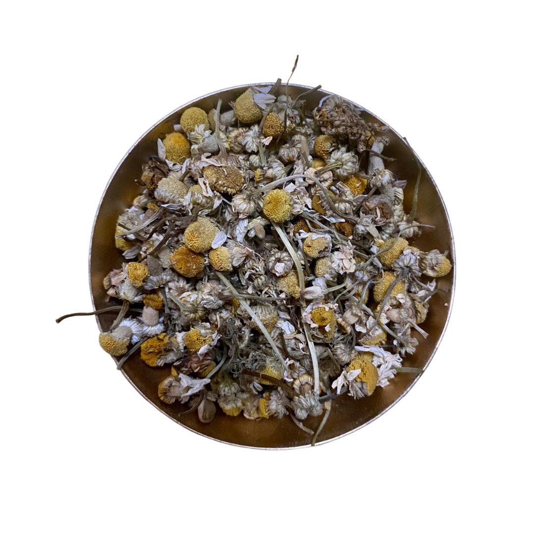 Egyptian Chamomile Flowers | Matricaria Recutita (Organic)