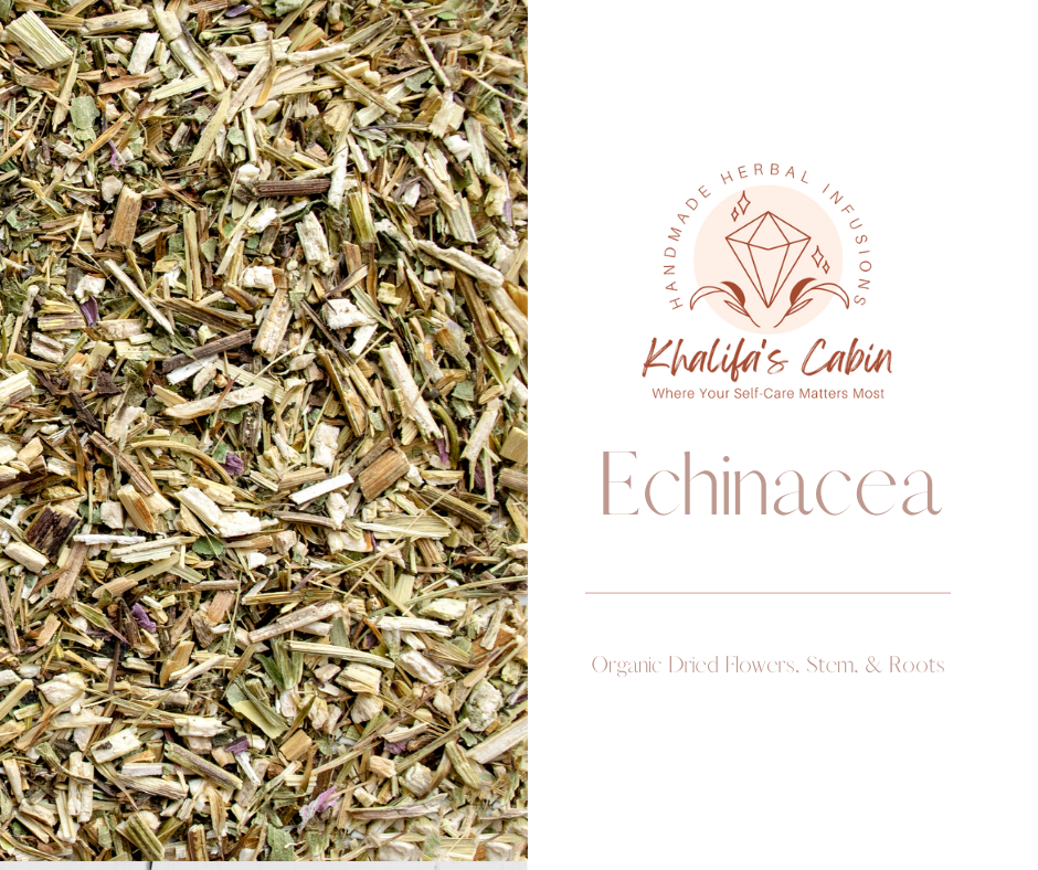 Echinacea | Echinacea purpurea (Organic)