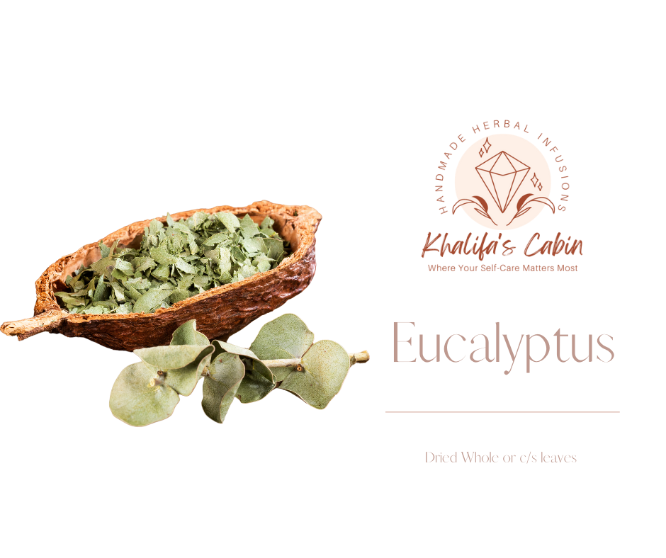 Eucalyptus | Eucalyptus globulus