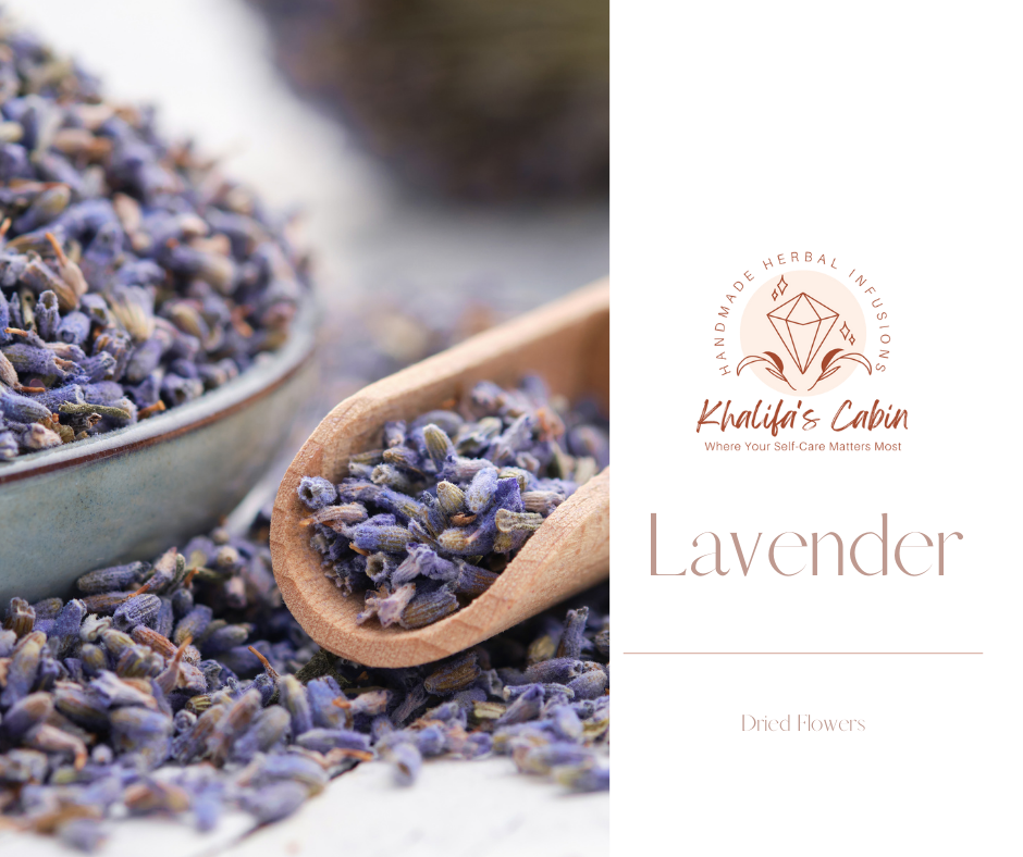 Lavender | Lavandula spp (Organic)