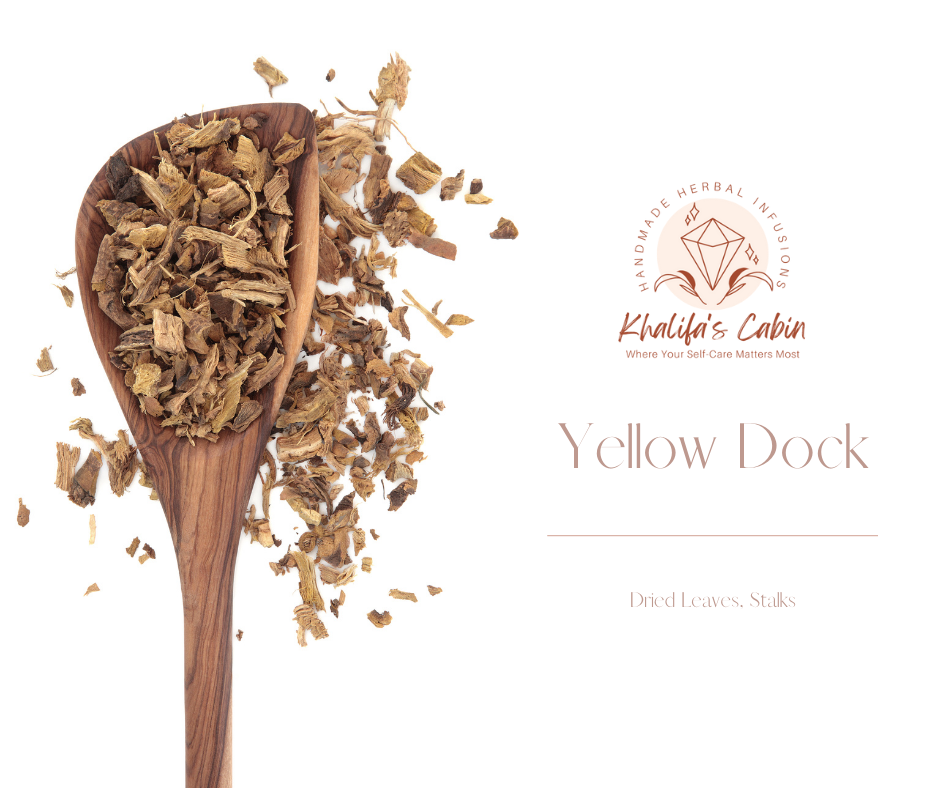 Yellow Dock | Rumex crispus (Organic)